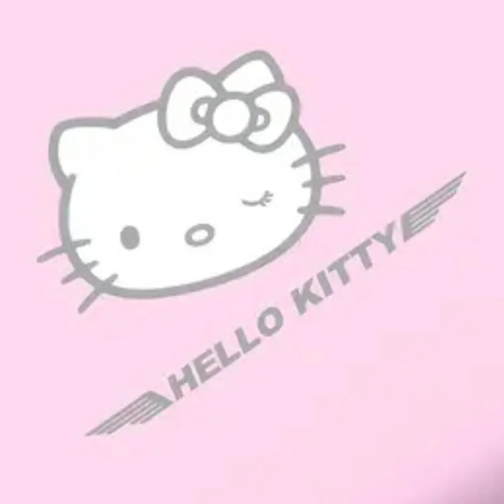 Hello Kitty - Makeup/School Supplies Bag